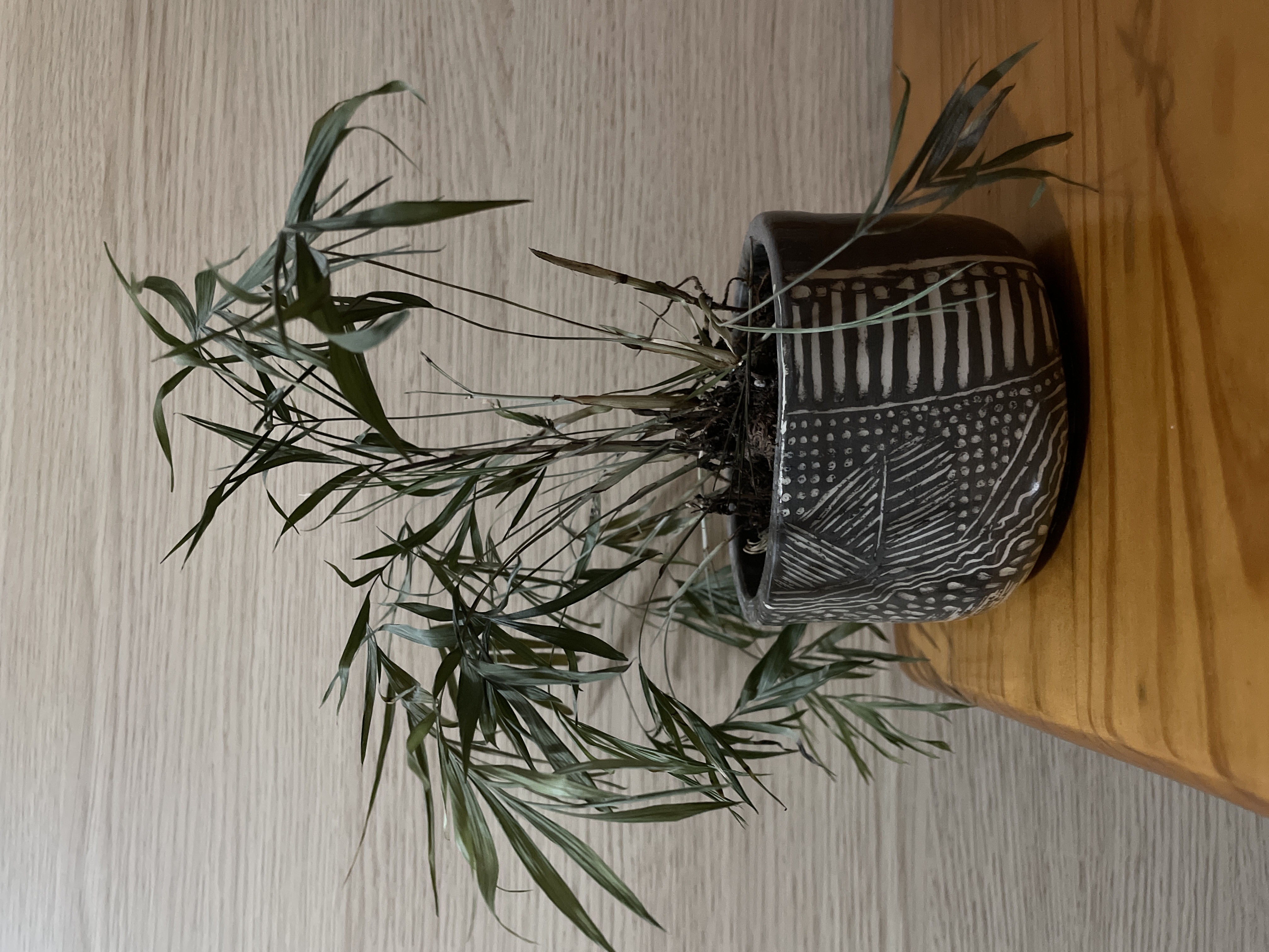 First Pots Potfolio — Track Every Pot You Make